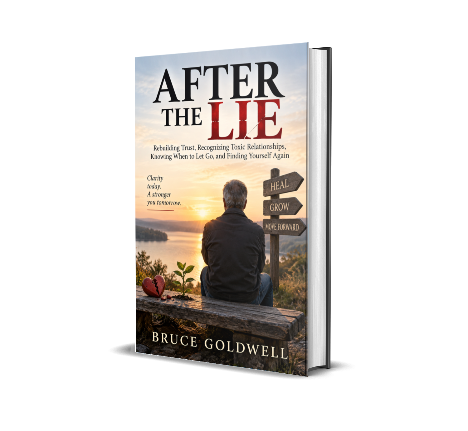 After the Lie by Bruce Goldwell