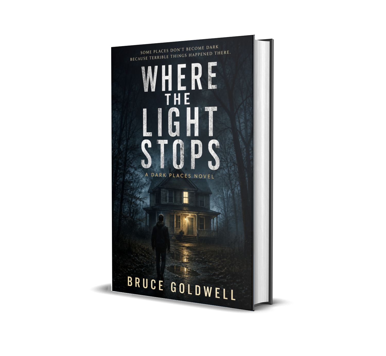 Where the Light Stops by Bruce Goldwell