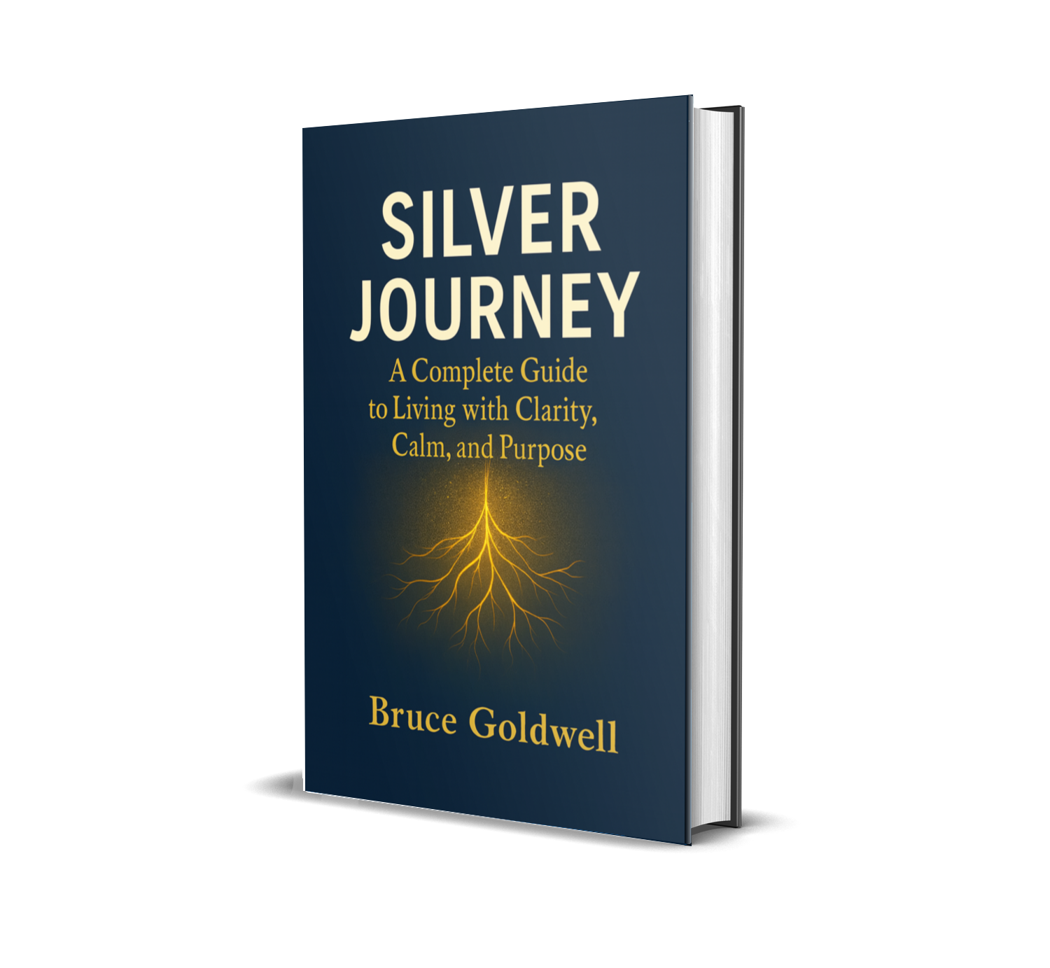 Book cover of Silver Journey: A Complete Guide to Living with Clarity, Calm, and Purpose by Bruce Goldwell