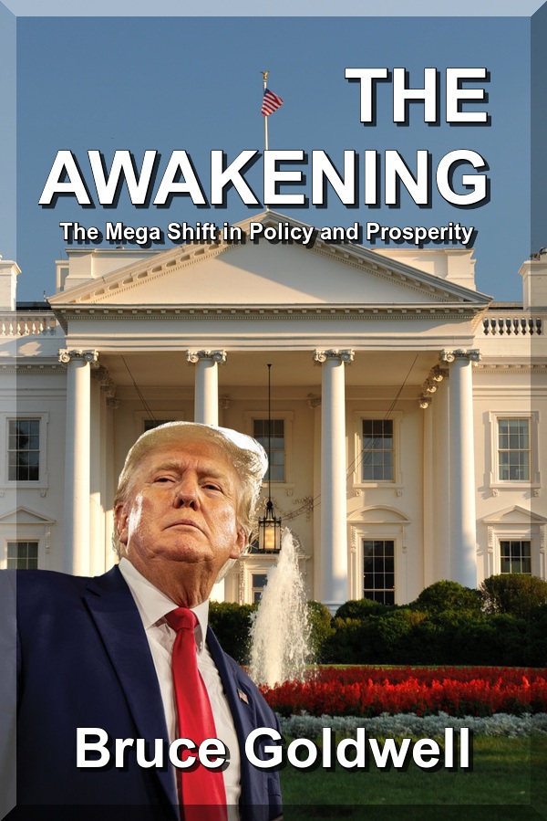 The Awakening Book Cover