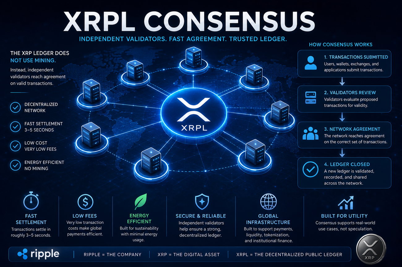 XRPL consensus showing independent validators reaching agreement on ledger transactions